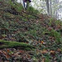 Fotogalerie (253)
