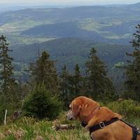 Fotogalerie (38)
